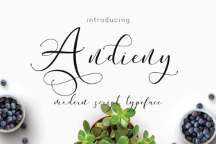 Andieny: The Script Font That Elevates Your Campaigns