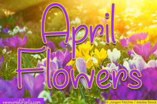 April Flowers: A Script Handwritten Font for Creative Crafters
