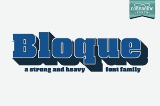 Bloque Family for Bold Editorial Design