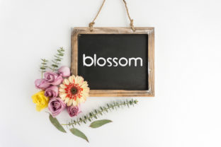 Blossom: A Sweet Flowing Sans Serif Font for Creative Makers
