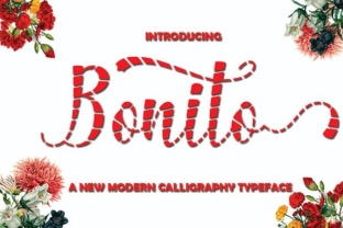 Bonito: A Playful Script Font for Dynamic Web Design