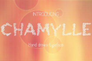 Chamylle: A Decorative Font for Creative Branding