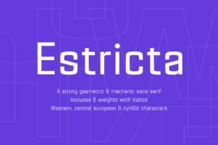 Estricta Family for Bold Digital Campaigns