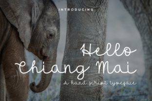 Hello Chiang Mai: The Font That Elevates Your Brand