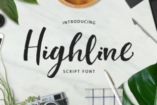 Highline: A Script Handwritten Font for Dynamic Brand Campaigns