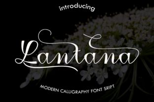 Lantana: A Script Handwritten Font for Editorial Design