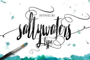 Saltywaters: A Script Handwritten Font for Digital Branding and Web Design