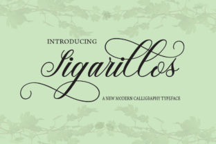 Sigarillos: A Script Font for Elegant Web Design
