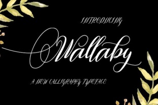 Wallaby: A Script Handwritten Font for Creative Makers